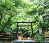 一流万倍日❤️特別タイムサービス割引❤️恵比寿駅スタート　縁結びで有名な氷川神社などを初詣で向かいます！