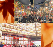 ❤️特別割引❤️新宿花園神社　　お散歩オフ会 縁起の酉の市祭　神社御朱印パワースポット巡り　露天も多数