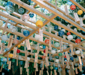 ❤️特別タイムサービス割引❤️約200個の江戸風鈴がお出迎え　夏を涼しく奏でる風鈴スポット福徳の森散歩オフ会