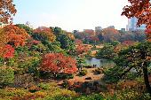10月12日(10/12)  30代40代都内随一の名所、六義園と旧古河庭園の二つの庭園を巡るウォーキングコン