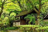 10月31日(10/31)  緑がいっぱいの天園ハイキングコース(鎌倉アルプス)を散策して気持ちをリフレッシュしちゃいましょう♪
