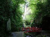 11月8日(11/8)  大安日！パワースポット＆マイナスイオン！日本の滝百選に選ばれた洒水の滝を鑑賞コン♪