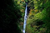 12月5日(12/5)  絶景紅葉とパワースポット＆マイナスイオン！日本の滝百選に選ばれた洒水の滝をハイキングコン♪