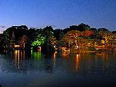 11月21日(11/21)  秋の紅葉ナイトウォーキング・日本庭園!夕方から夜にかけて 風情ある日本庭園の紅葉を見にいきましょう！