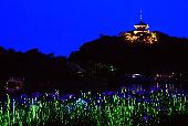 6月4日(6/4)  『蛍の夕べ』観賞コン！！今回は横浜の名所「三渓園」での庭園コン！！
