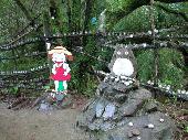 8月27日(8/27)  涼しくなった夕方から！日本を代表するアニメキャラを見に行こう！トトロの森で森林浴＆湖を眺めるセラピーウ...