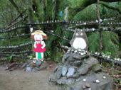 10月29日(10/29)  日本を代表するアニメキャラを見に行こう！トトロの森で森林浴＆湖を眺めるセラピーウォーキングコン