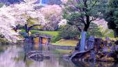 11月27日(11/27)  有名な日本庭園や観光スポットを 男女ペアで巡ろう！ 御茶ノ水周辺には見どころ多数！