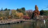 12月30日(12/30)  男性満席！年末に大掃除！吉祥寺の街と自然豊かな公園を綺麗にしよう！吉祥寺クリーンアップコン!