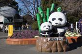 9月8日(9/8)  【上野動物園】動物たちに癒されよう！パンダを見に行こう♪30代40代動物園コン！