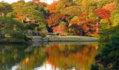 11月18日(11/18)  紅葉で有名な庭園！この時期にしか見れない幻想的な世界！六義園ウォーキングコン！