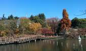 11月23日(11/23)  吉祥寺の井之頭公園で動物たちに癒されながらお散歩しよう！