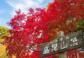 12月9日(12/9)  この時期しか見れない絶景を楽しもう！高尾山紅葉ウォーキングコン！