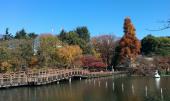 2月18日(2/18)  吉祥寺の自然豊かな公園でゆっくりお散歩しよう！井の頭公園＆動物園ウォーキングコン!