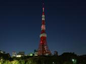 3月24日 東京タワーを目指して！ロケーション最高の名所を巡る！　東京ナイトウォーキングコン！