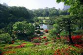 4月21日東京の名所！六義園と旧古河庭園をゆっくり散歩！縁結び庭園ウォーキングコン！