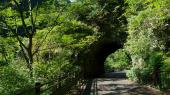 6月3日 【日本の滝百選】　マイナスイオンで元気になれる！洒水の滝ハイキングコン！