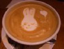 ★★【STYLE】★★2013/03/14（木）【平日】カフェ巡り散策!cafeコンparty!【渋谷】