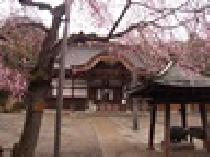 ★★【STYLE】★★2013/04/29（月,祝）新企画!ゲゲゲの街!深大寺＆神代植物園散策!【調布】