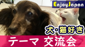 ✨　女性企画・女性運営　✨7/15(月祝)11:30東京都・新宿「犬・猫好き」交流会2