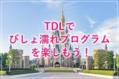 びしょ濡れプログラム開催中！ディズニーランドを満喫しよう♬TDLツアー☆