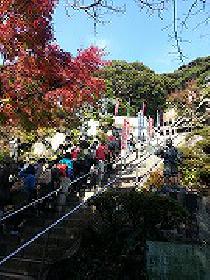天園ハイキングコース(鎌倉アルプス)を歩こう！！