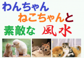 ペットとの暮らしが素敵になる風水勉強会 ～ 東京国際フォーラム内