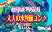平日休みの方おすすめ！海風を感じる人気アクアリウム！大迫力のマグロシアターやペンギンに会える♡大人の水族館コン♪【葛西...