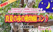 男性満員！女性残り３枠！年に数回のチャンス！夜間開園☆サマーナイトズー♡可愛いコアラに逢える♪260種の動物たちが恋のキュ...