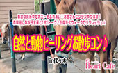 都会の真ん中でポニーとふれあい♡お馬さんニンジンやり体験！森林浴しながら全員と1対1トーク♪心身浄化ウォークでリフレッシ...