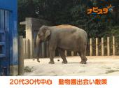 35～52歳 上野動物園出会い散策