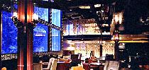 【200名企画】アクアダイニング交流Party@5m×6mの巨大水槽にウミガメ・熱帯魚が泳ぐAQUA Restaurant