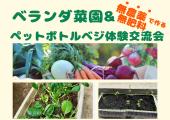 【渋谷Ifイフ イベント交流会】【ベランダ菜園とペットボトルベジの体験交流会】 ベランダで無農薬、無肥料栽培で野菜を作る...