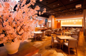 【37歳～59歳ぐらい婚活】【新会場！】西新宿 THE SAKURA DINING　TOKYO（ザ サクラ ダイニング トウキョウ） 婚活、恋活、交...