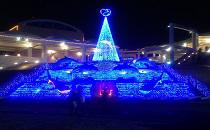 八景島シーパラダイスでクリスマス満喫ツアー