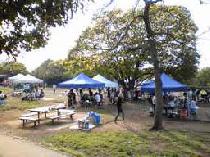 9月29日(日)【200名特別企画】THE FINAL SUNSET BBQアウトドア交流Party☆海と緑の楽園