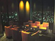 11月15日新宿新宿摩天楼の絶景の エグゼクティブ夜景パーティー ！！