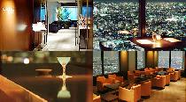 5/24(土)【新宿】スカイレストラン貸切250名交流パーティー★48階から眺める夜景はまさに絶景♪富士山も一望できる最高の展望です★