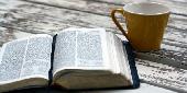 英会話交流カフェ “English Bible Reading”～世界で最も使われる『言語』で、世界で最も読まれる『書物』を読んでみる～