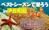 【日帰りなので楽ちん♪】伊豆☆初島ダイビングツアー♪一緒に潜ってダイビングの素晴らしさを共有しましょう！！！