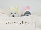 【現役女性トリマー主催！】犬好きさんと繋がりたい会♡＠渋谷☆現在3名☆