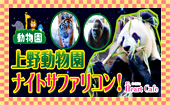 【上野動物園】１人参加多数☆連絡先交換率8割☆8/16（水）この時期だけ限定！平日開催☆夜の動物園で距離をギュッと縮めちゃお...