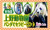 【上野動物園】１人参加多数☆連絡先交換率8割☆9/10（日）パンダの赤ちゃん誕生☆上野動物園で距離をギュッと縮めちゃおう！パ...