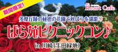 【川崎】１人参加多数☆連絡先交換率8割☆10/21（土）多摩丘陵の秘密の花園で秋ばらを堪能♪生田緑地ばら苑でスイーツ・ピクニッ...