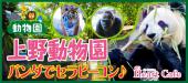 【上野動物園】１人参加多数☆連絡先交換率8割☆4/7(土)動物で距離をギュッと縮めちゃおう！パンダでセラピーコン♪ゾウ・トラ・...